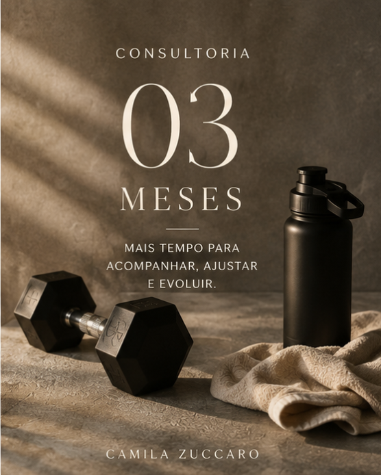 Consultoria — 03 meses